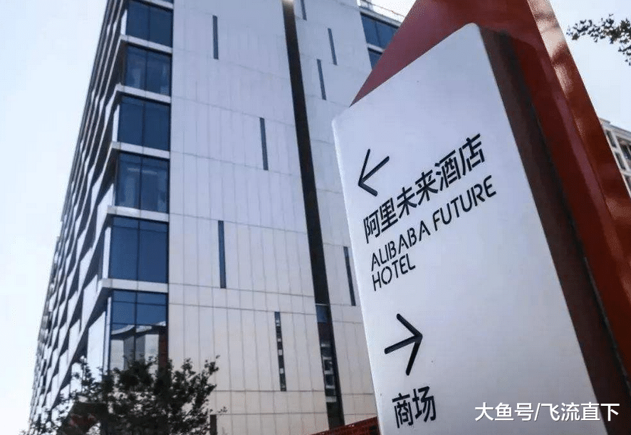 Java|马云“无人酒店”一炮而红，如今经营状况怎样？网友：意料之中！