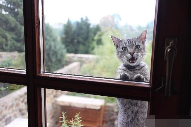 老师傅提醒：如果家里有这2种情况，证明甲醛超标，快快治理！