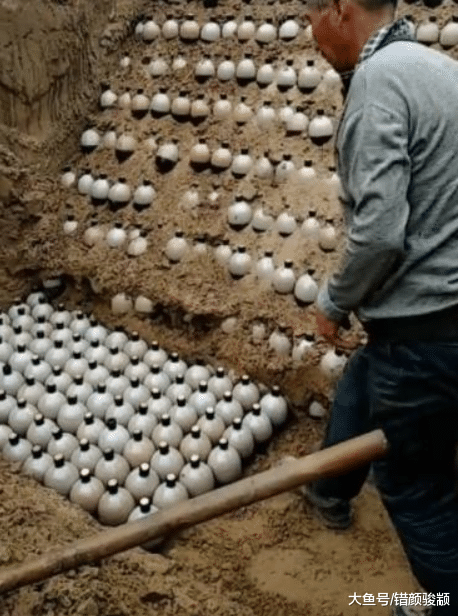 老漢在家里種上幾百瓶白酒，聲稱以后能發財，專家一句話令他樂了