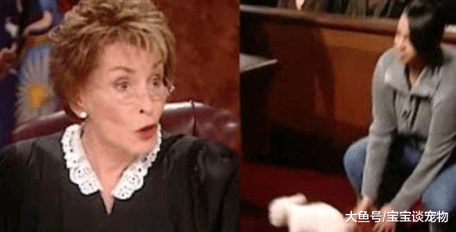 双方都说狗狗是自己养的 法官竟然用这种方法判案