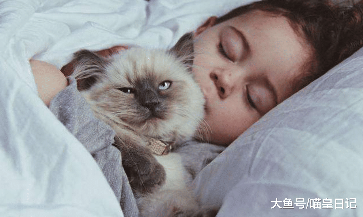 如果你有以下三種表現，那你一定是個不折不扣的貓奴了！