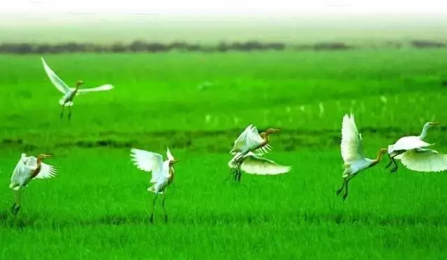 来防城港定居一个理由足够