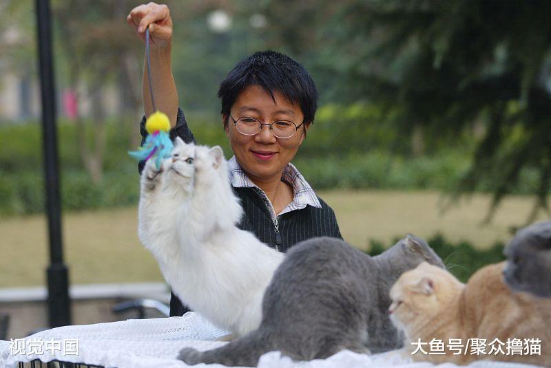 一旦喵星人出现异食癖，铲屎官首先要考虑，该给猫咪改善伙食了