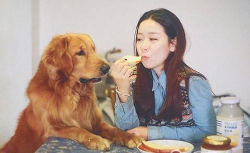 家里的狗狗为什么爱粘主人? 背后的5大原因, 可别误解了狗狗!