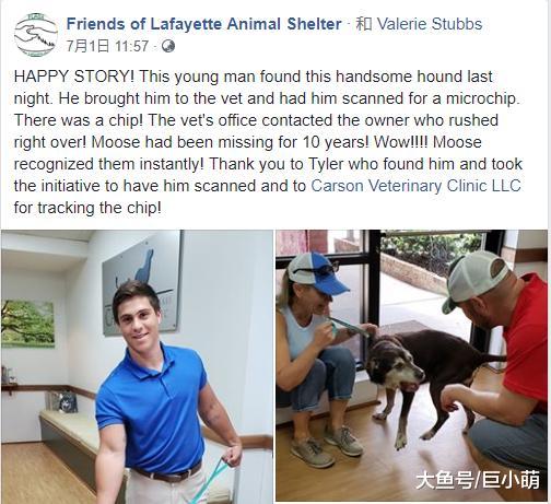 狗狗失踪10年，做了10年的流浪狗，是什么成功带它回家？