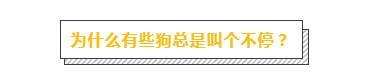 想养一只不太会叫的狗, 请问有什么推荐?