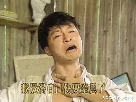 男子听见异常声响，出门一看缓不过神来：今天就喝莲藕狗肉汤了