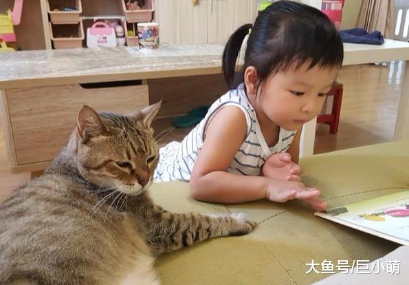 猫咪摸一下小主人，戏精女儿立刻倒在爸爸怀里求安慰，猫咪一脸懵