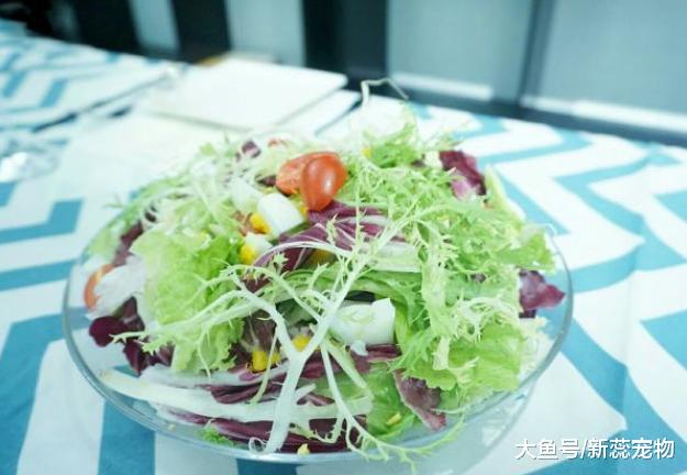 心理测试：三种青菜，你最喜欢哪一种？测你的克星在几岁出现