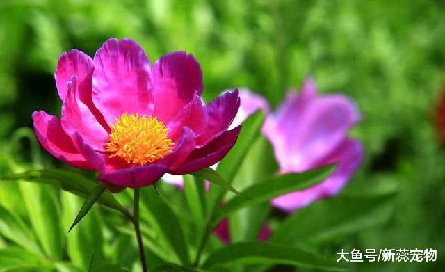 这个时辰出生的孩子，从小才貌双全，长大孝顺有出息！