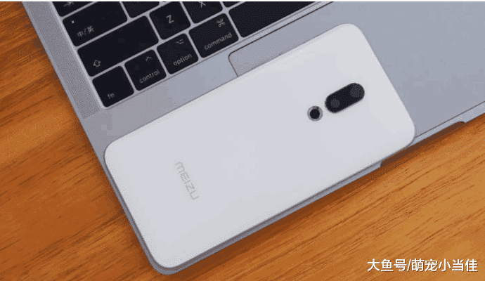 小米这是只要卖货, 不想挣钱了, 魅族性价比高又怎样