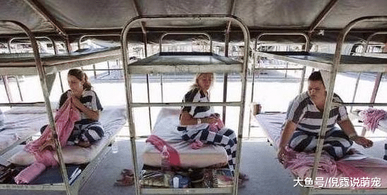 世界上最大的女牢房：女犯人晚上无法睡觉，平均每月有120人怀孕