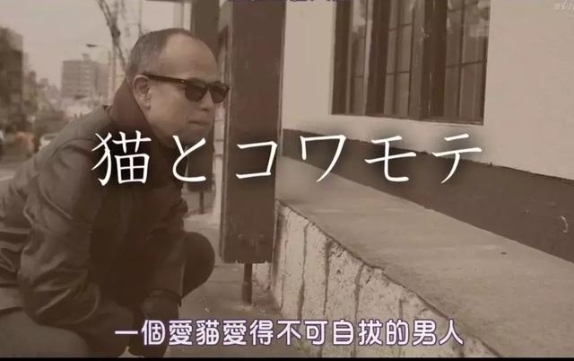 我虽然长得很凶，但我爱猫啊！
