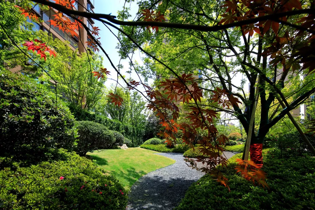 当代港式隐奢｜雅戈尔 · 新明洲大区