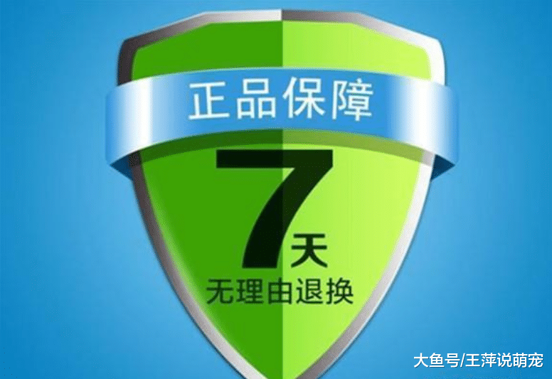 卖假鞋中的王者! 大学生利用网购买真退假, 轻松卖出几百双后被抓