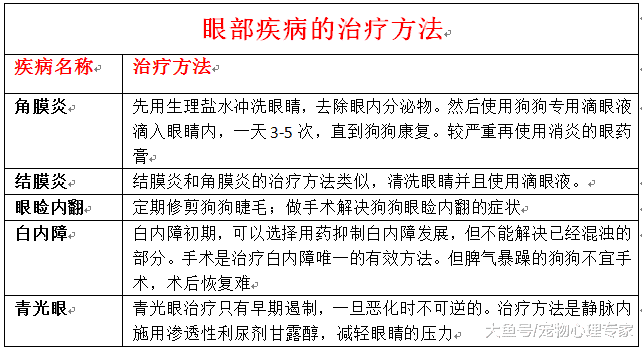 辟謠！狗狗流眼淚是因為傷心？殊不知可能是眼部疾病的發生