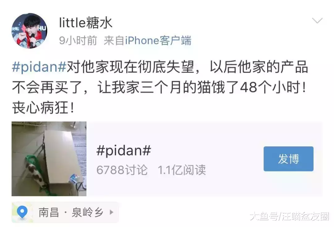 誰能想到，花150元雇人喂貓，我的貓卻成了救助對象