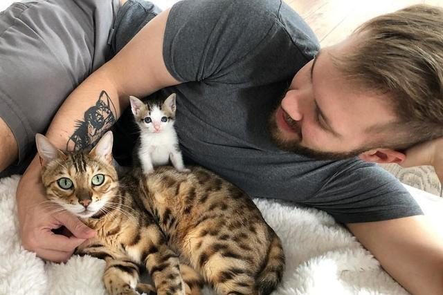 小猫出生就成流浪猫，被救助后因为害怕不敢喝奶，原住猫暖心安慰