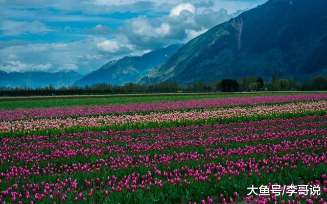 为什么别人总是不把你当回事？（说得太对了）