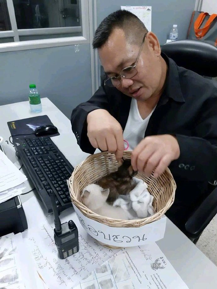 萌化了！警察局又添2只小猫咪，督察叔叔决定亲自带领