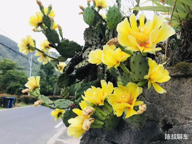 江苏“最难混”的两座城市，消费高房价高，网友：房子都租不起