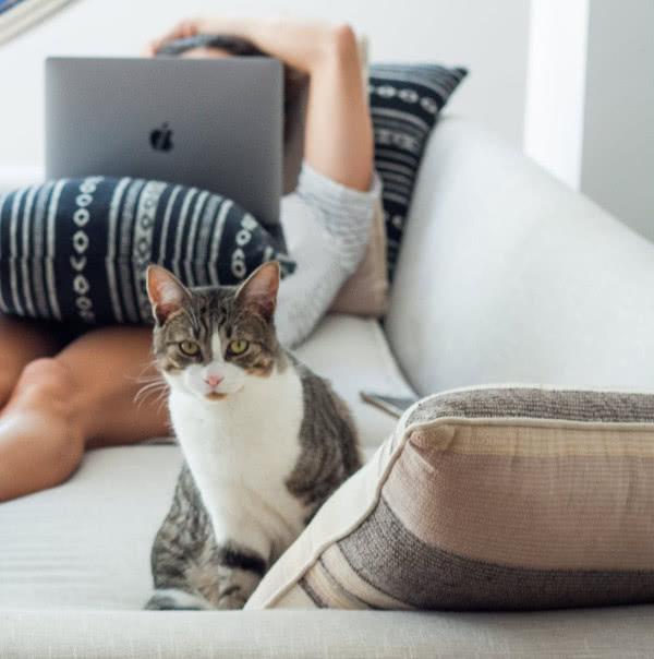 年老貓咪各項能力都衰退，照顧它們鏟屎官需要格外注意哪幾方面呢