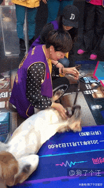 导盲犬服役3年后又见到养大自己的主人