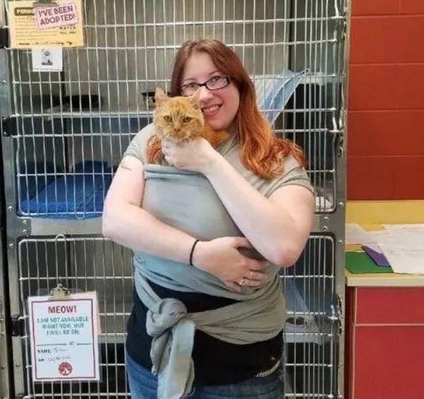 爱闹腾的小猫咪，被脑洞大开的主人制服了，再也不淘气也不乱跑了