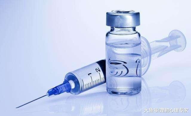 被狗咬伤要打狂犬疫苗吗? 别因为一时侥幸害了自己