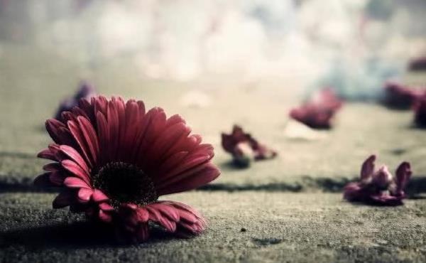 什么是舍，什么是得？