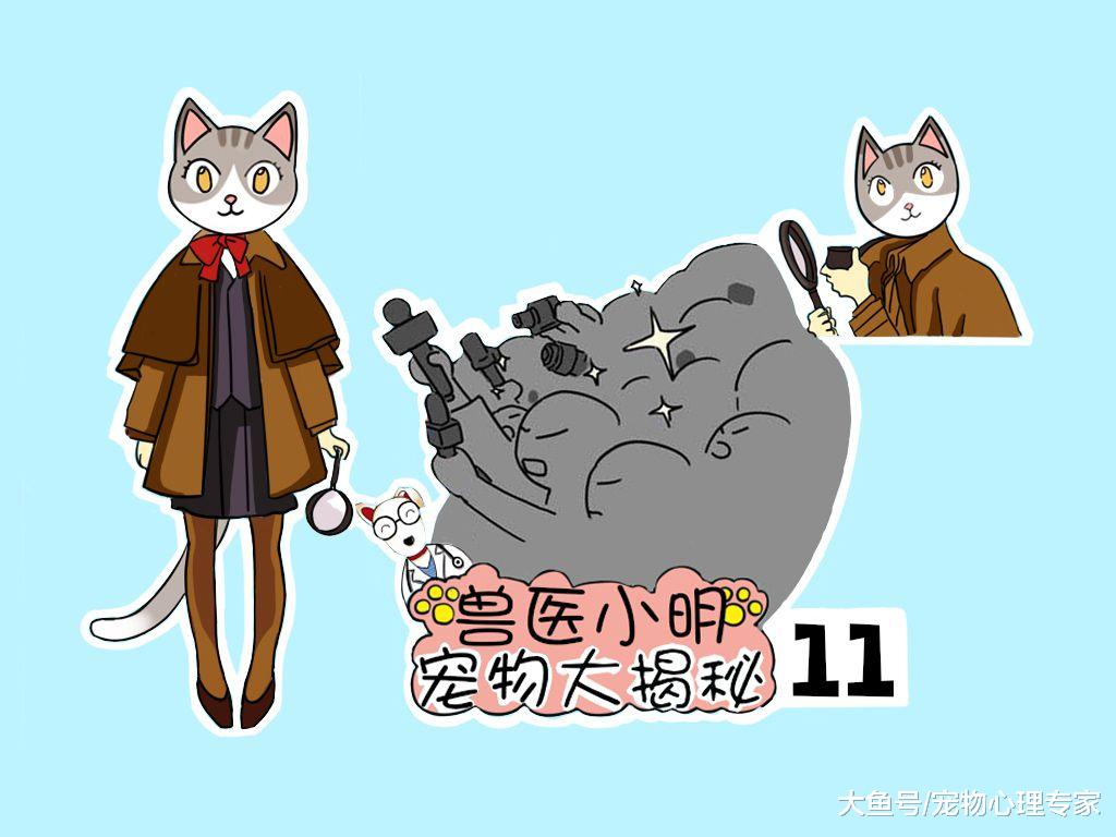 辟谣：夏季带狗狗去游泳是避暑妙招？兽医：有的狗可是不适合下水