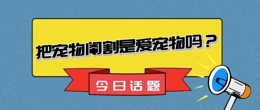 12斤的胖猫总溜出去要吃的，结果邻居过来抱怨：那只胖喵太能吃！