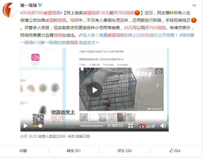 35元买70G虐猫视频，网络世界阴暗处