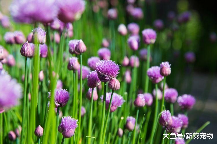 10月大运难挡，3生肖好运重点关照，喜迎财富，赚大钱