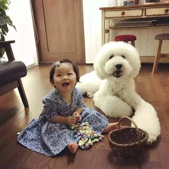 巨貴看到小泰迪有人抱，非要主人背，主人：自己什么體型沒點數？