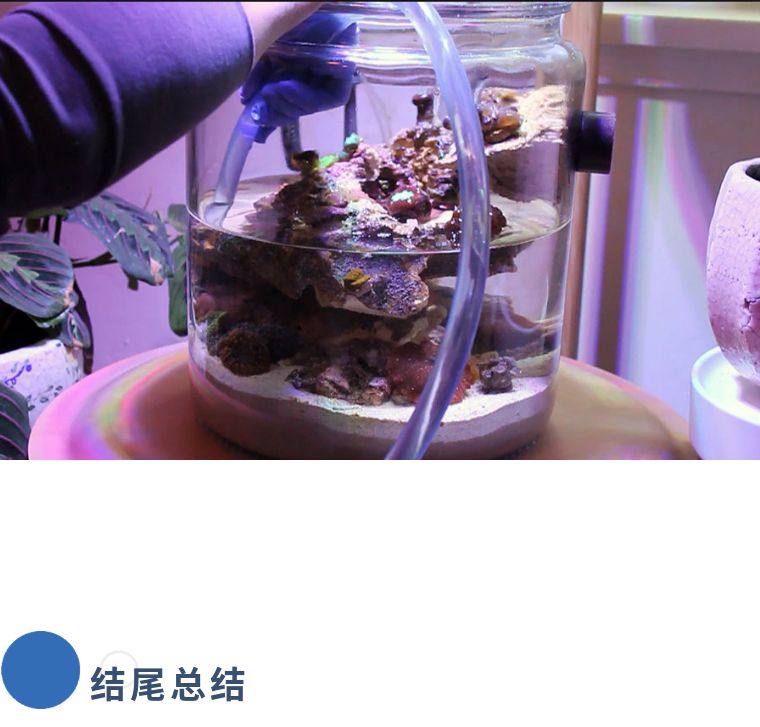 超微型海缸？一起来看这样的小水体如何实现换水