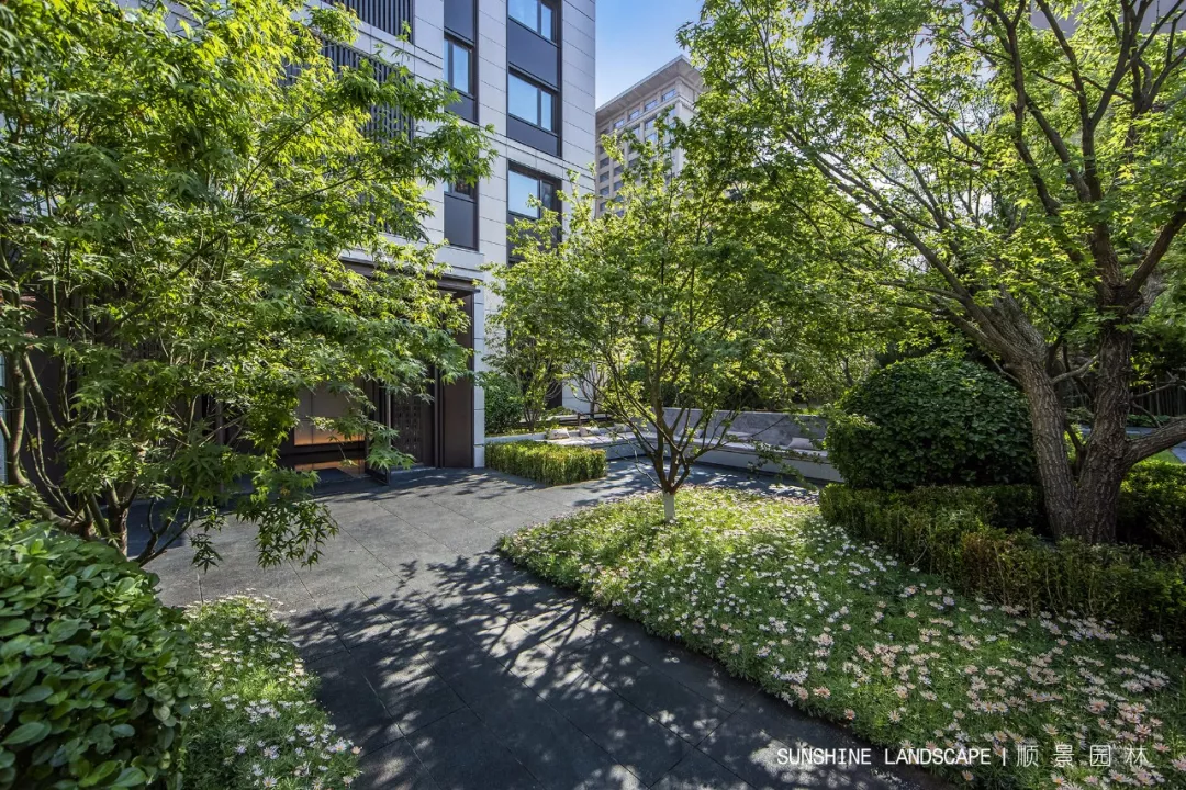 再现光影与自然的雅致空间 | 保利 · 和光逸境