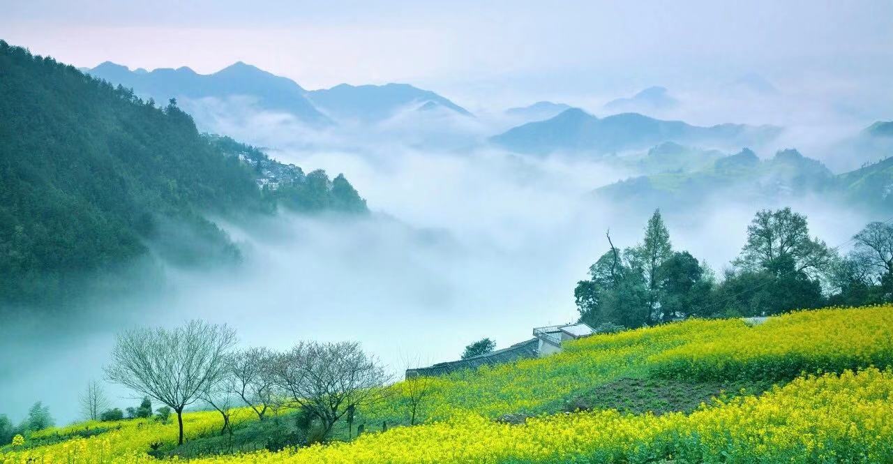 上海社保五年限购解禁的第一批，现在都怎么样了