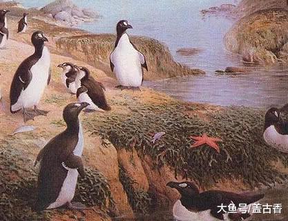 那些被“一锅端”的生物，它们的灭族之灾无一例外：贪婪的狩猎者