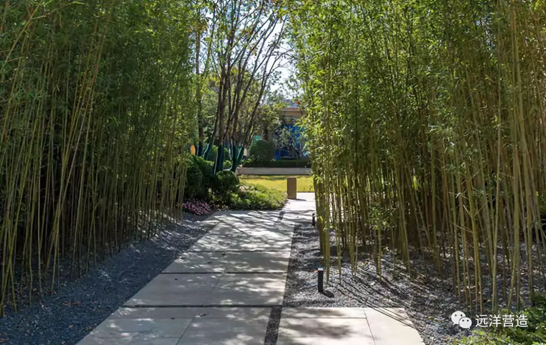 生态汇丨“园冶杯”金奖之光影双生，晟景天成——石家庄远洋·晟庭