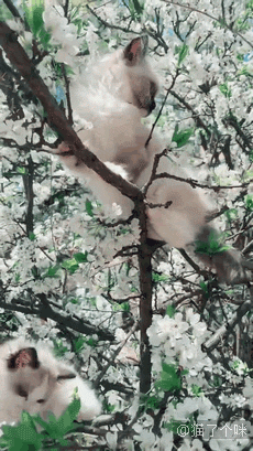 是你自己选的困难模式，不怪我