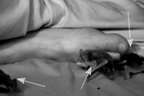 女子早上起来，发现腿脚发麻还有血迹，查看监控后赶去医院啦