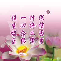 深信因果 忏悔业障 一心念佛 往生极乐 已取消订阅      452.