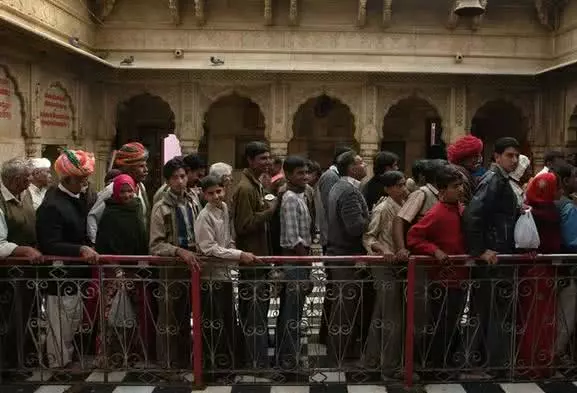 印度的一个神庙，供奉着上万只老鼠，游客进去需要穿鞋套！