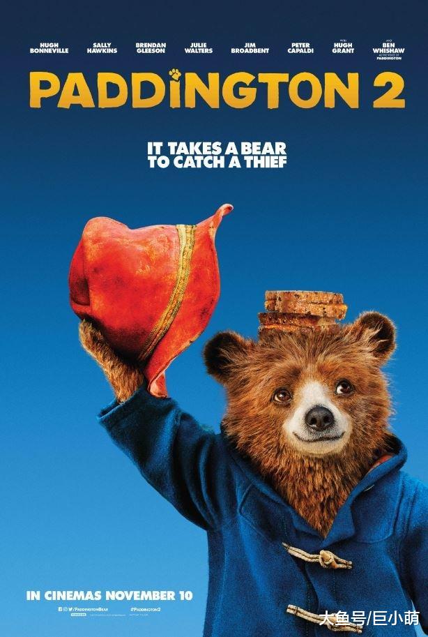 狗狗曾因品相不好被弃养，长大超像帕丁顿熊，可爱到人人喜欢