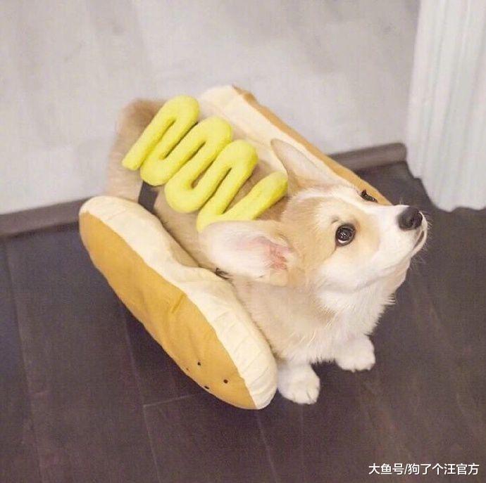 我对食物的渴望，超乎你的想象