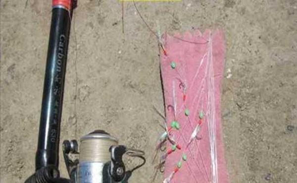 又大又肥的鲫鱼，你能钓多少？民间小妙招，大鲫鱼呼呼咬钩