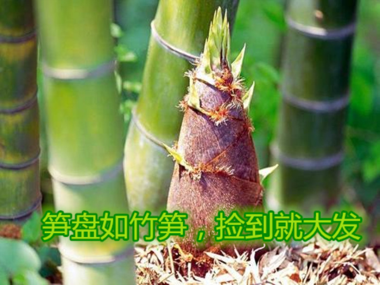 买房捡笋盘，买到就省钱