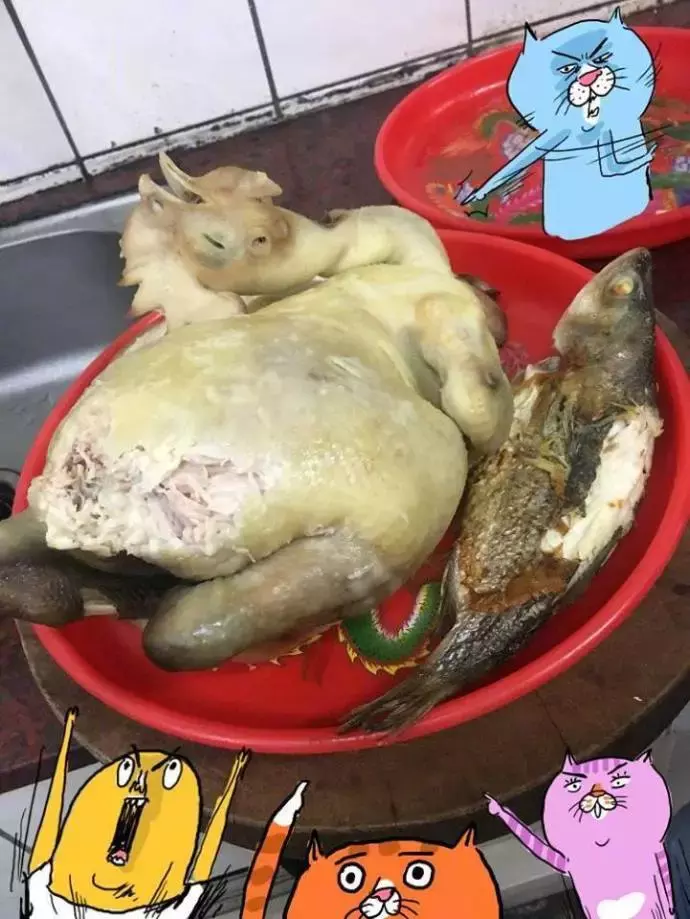喵星人的新年，熱熱鬧鬧一家喵！