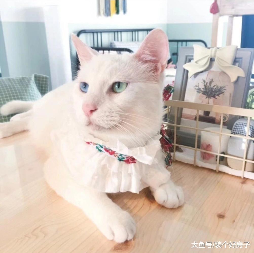 90后设计师妹子仅用5万，将89㎡装成温馨洋房！